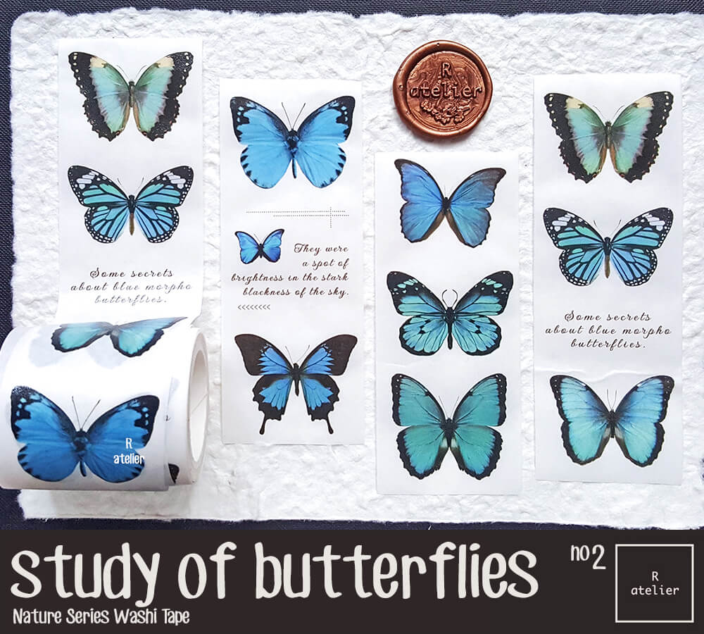 Study of Butterflies Washi