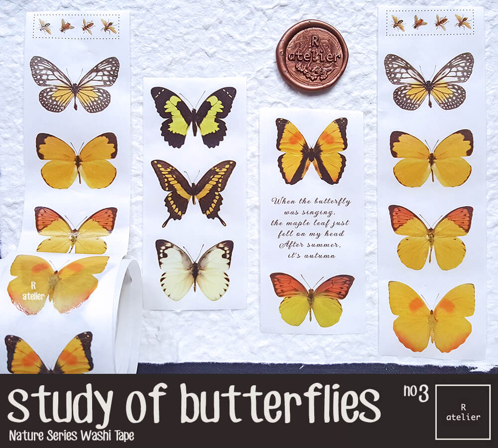 Study of Butterflies Washi