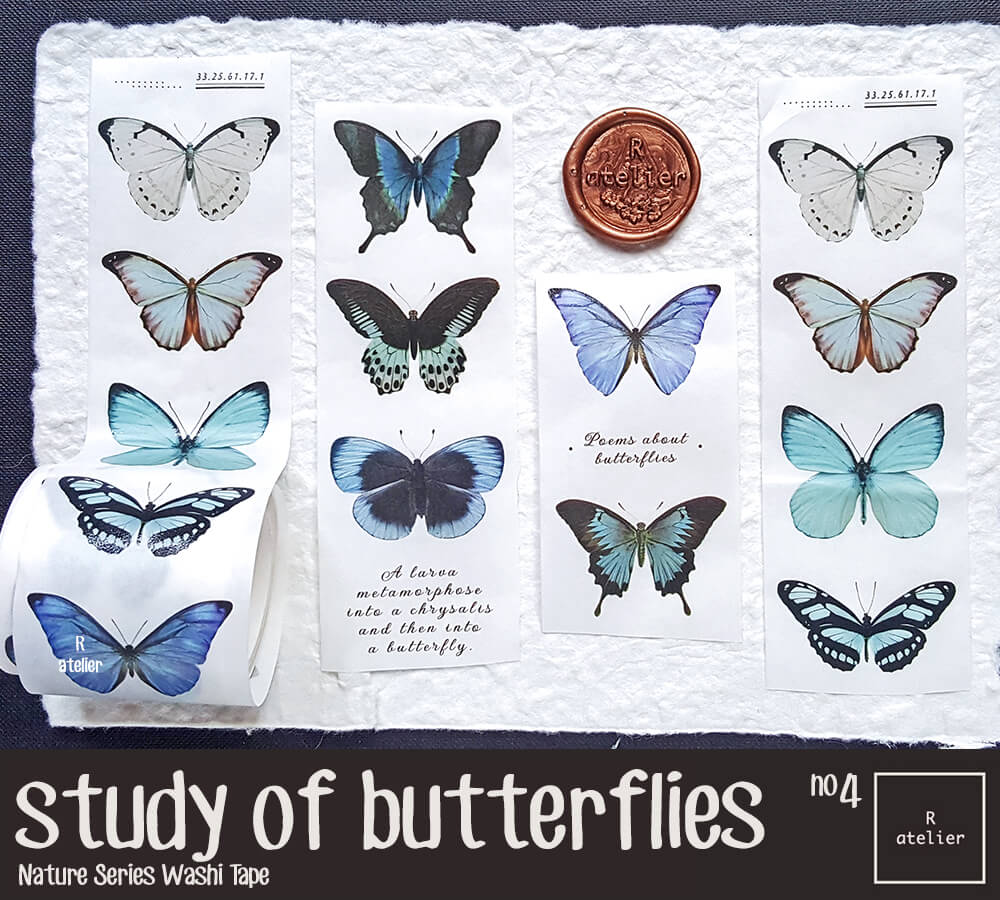 Study of Butterflies Washi