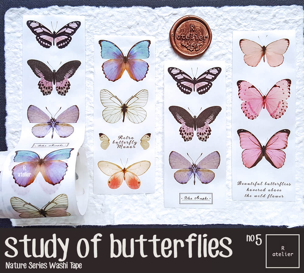 Study of Butterflies Washi