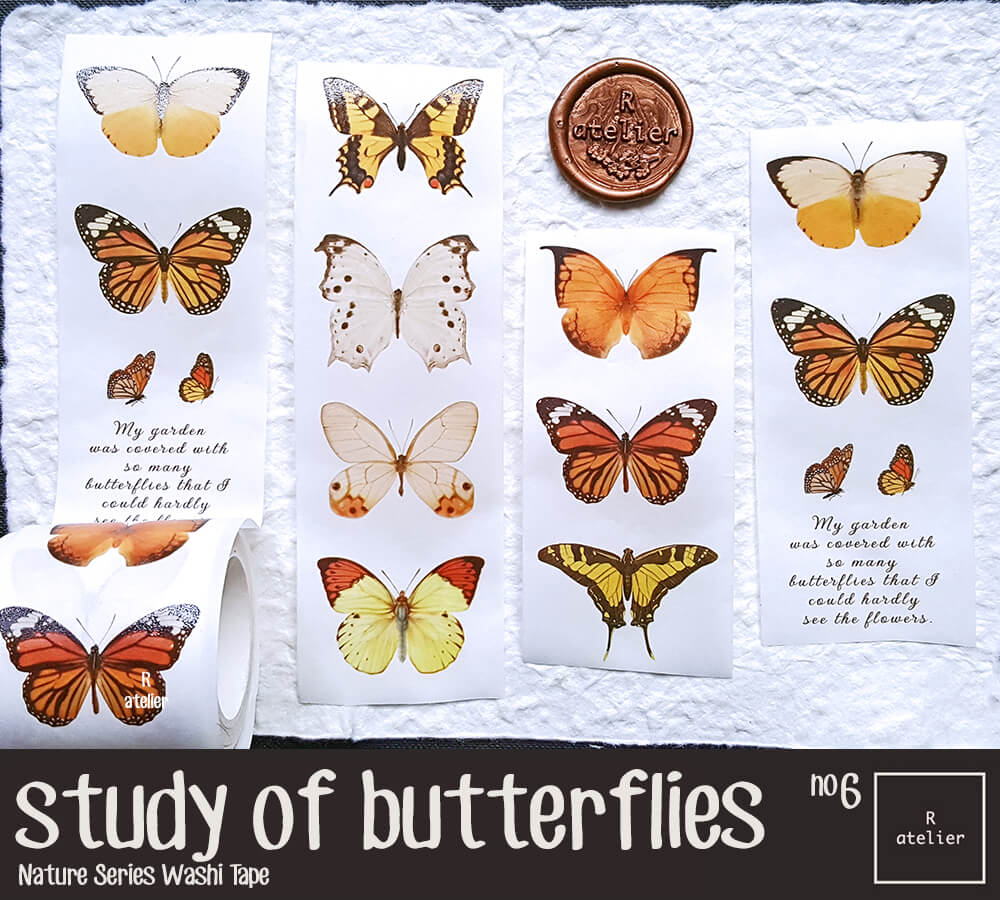 Study of Butterflies Washi