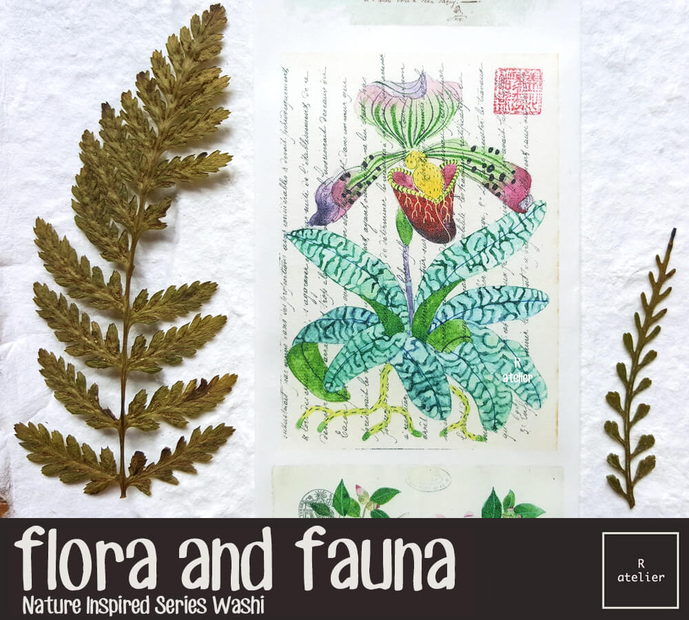 Flora and Fauna Washi