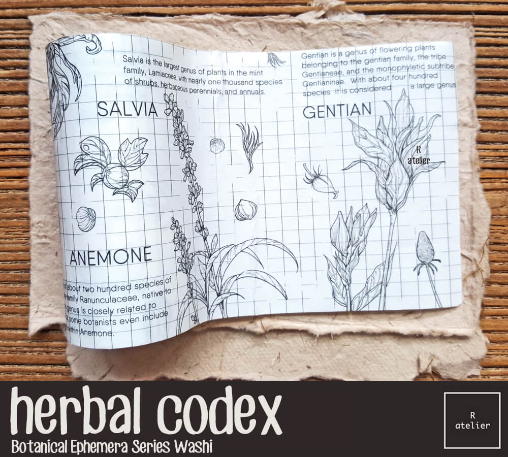 Herbal Codex Washi