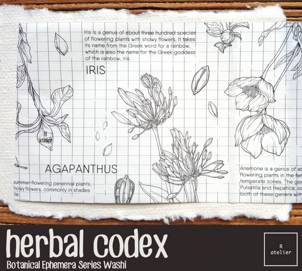 Herbal Codex Washi