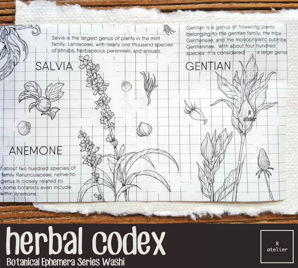 Herbal Codex Washi