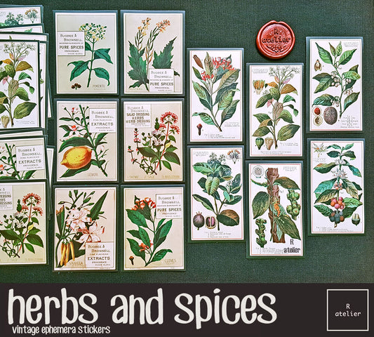 Herbs and Spices | Stickers