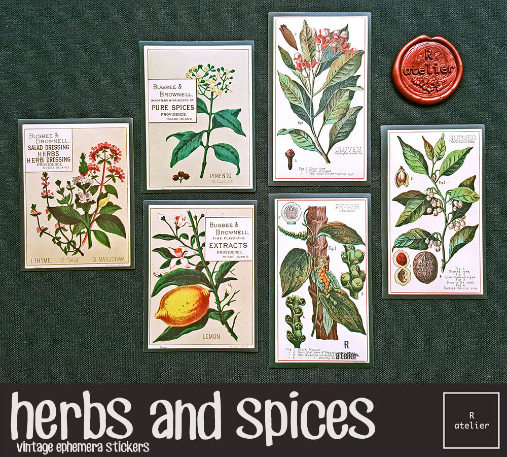 Herbs and Spices | Stickers