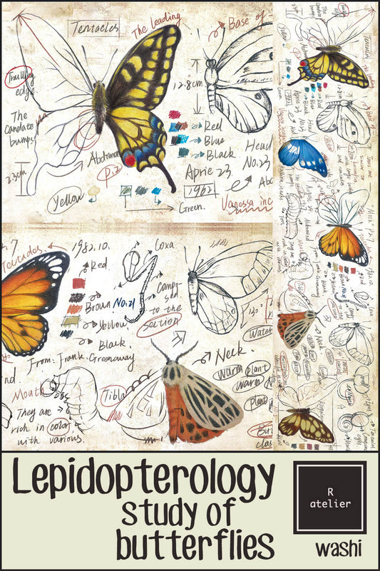 Lepidopterology, Study of Butterflies Washi
