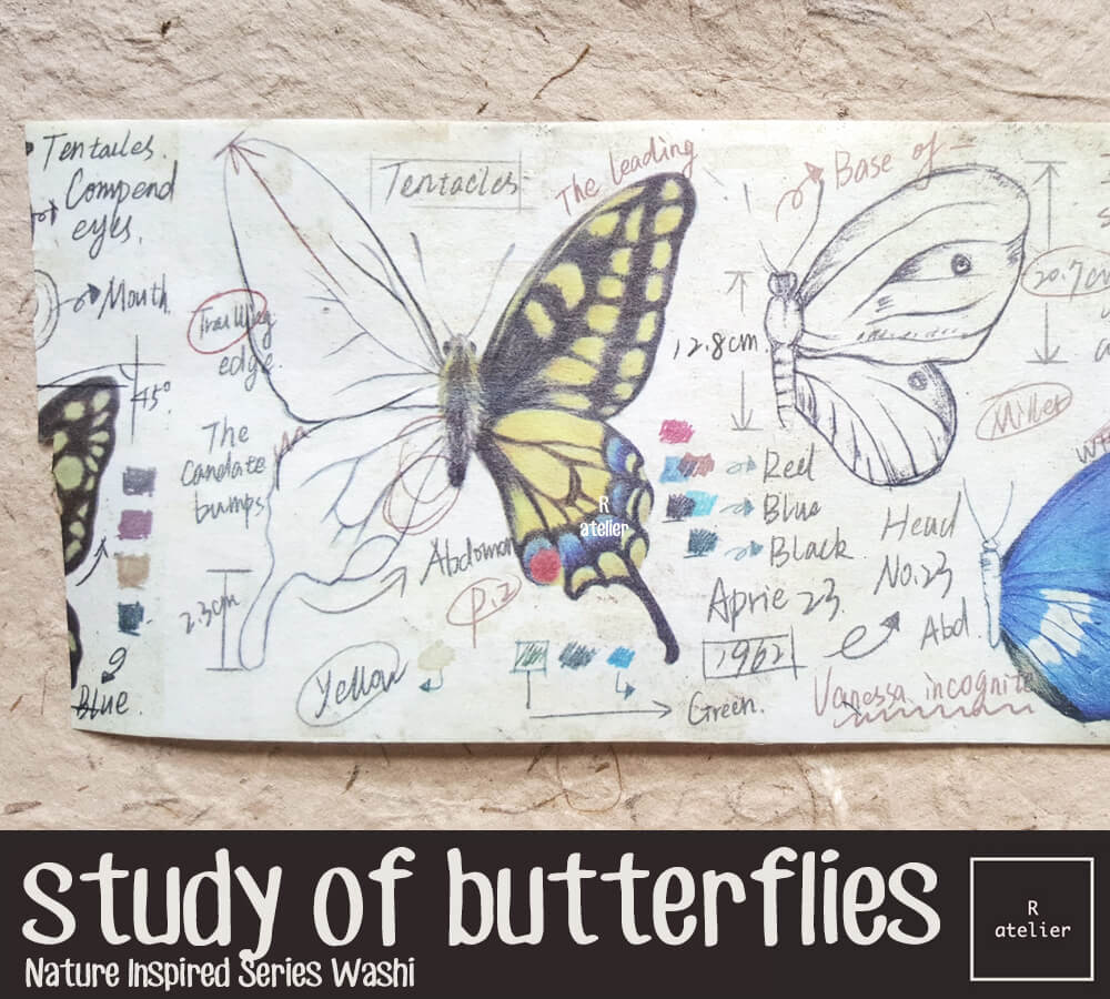 Lepidopterology, Study of Butterflies Washi