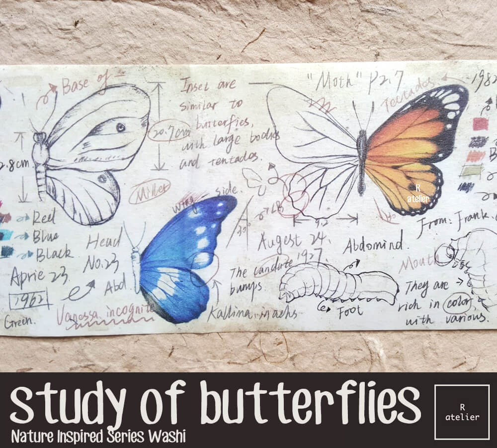 Lepidopterology, Study of Butterflies Washi